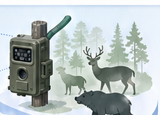 野生動物カメラと動物検出